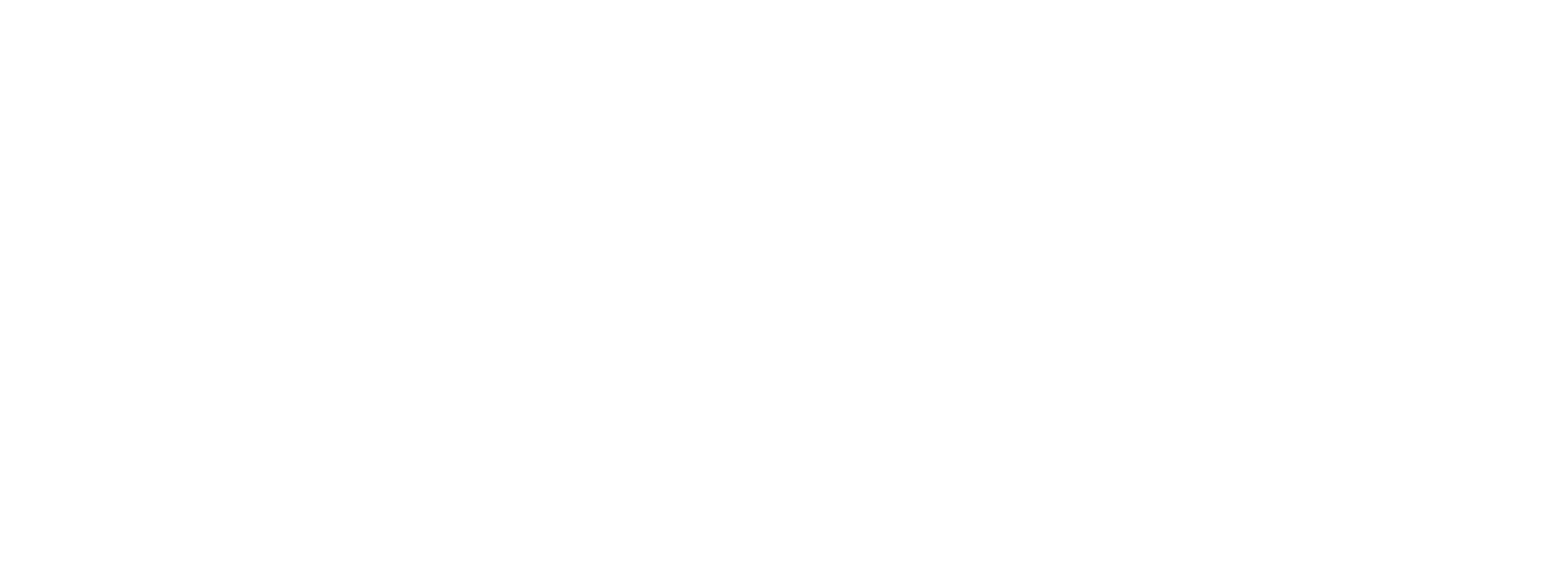 The Secret Agent