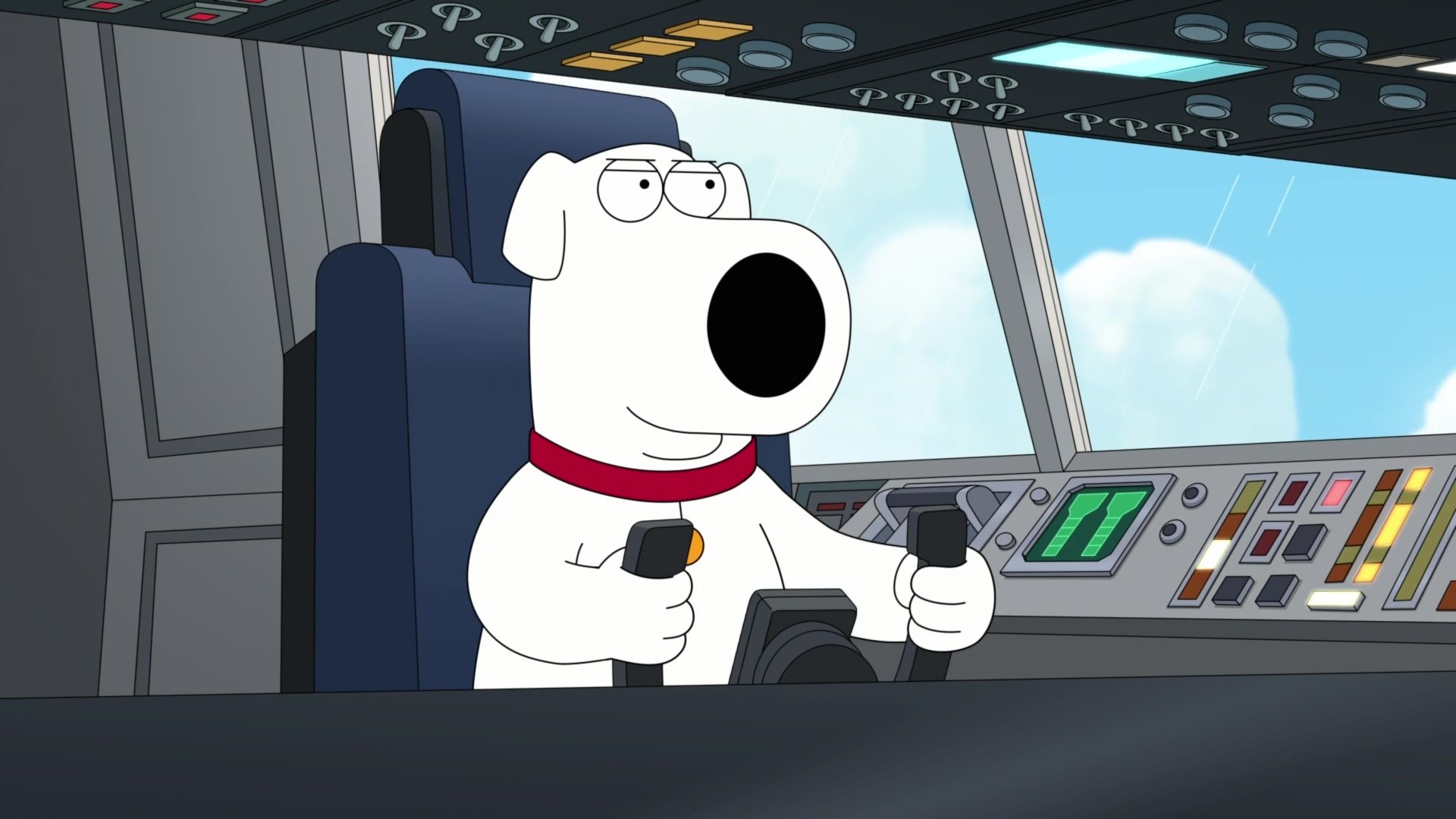 Dog Is My Co-Pilot